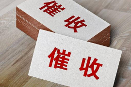 北湖北湖讨债公司服务